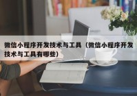 微信小程序開(kāi)發(fā)技術(shù)與工具（微信小程序開(kāi)發(fā)技術(shù)與工具有哪些）
