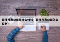 軟件開(kāi)發(fā)公司靠什么賺錢（軟件開(kāi)發(fā)公司怎么盈利）