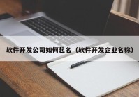 軟件開(kāi)發(fā)公司如何起名（軟件開(kāi)發(fā)企業(yè)名稱）
